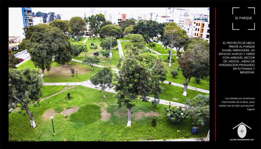 EDIFICIO ALCION IV